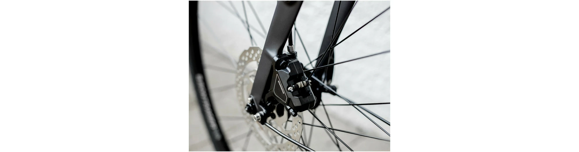 Trek FX 3 Disque EQ 7 Trek FX 3 Disque EQ – Image 5